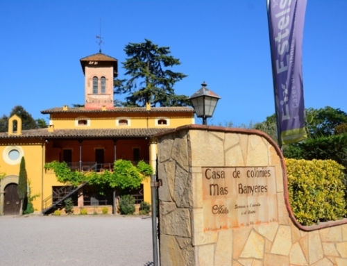 Colònies: Visita Mas Banyeres (Maig)
