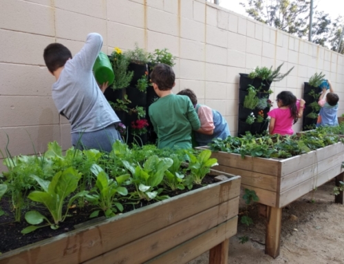 Coneix les noves dates de l’hort escolar (activitat de migdia)