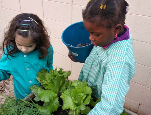 Hort de migdia: Nous horaris