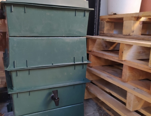 Nou vermicompostador per a l’hort de l’escola