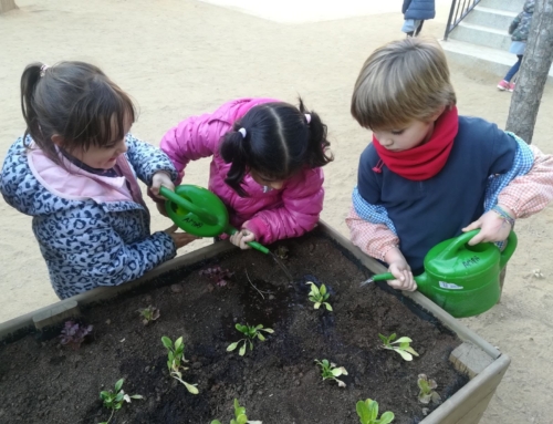 Hort: novetats del curs 2020/2021