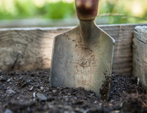 Participa a la Jornada de jardins de l’escola!
