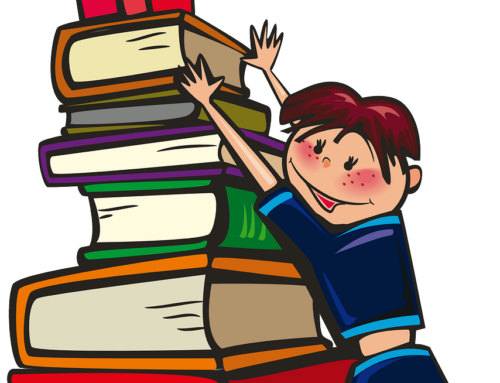 Nou projecte de biblioteca al centre