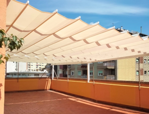 Millores als patis de l’Institut